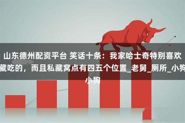 山东德州配资平台 笑话十条：我家哈士奇特别喜欢藏吃的，而且私藏窝点有四五个位置_老舅_厕所_小狗