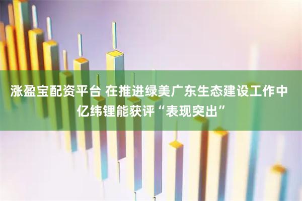 涨盈宝配资平台 在推进绿美广东生态建设工作中 亿纬锂能获评“表现突出”